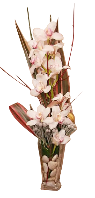 Vase Arrangement Orchid Large