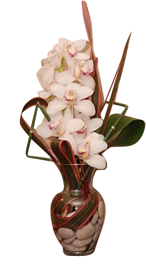 Vase Arrangement Orchid Medium